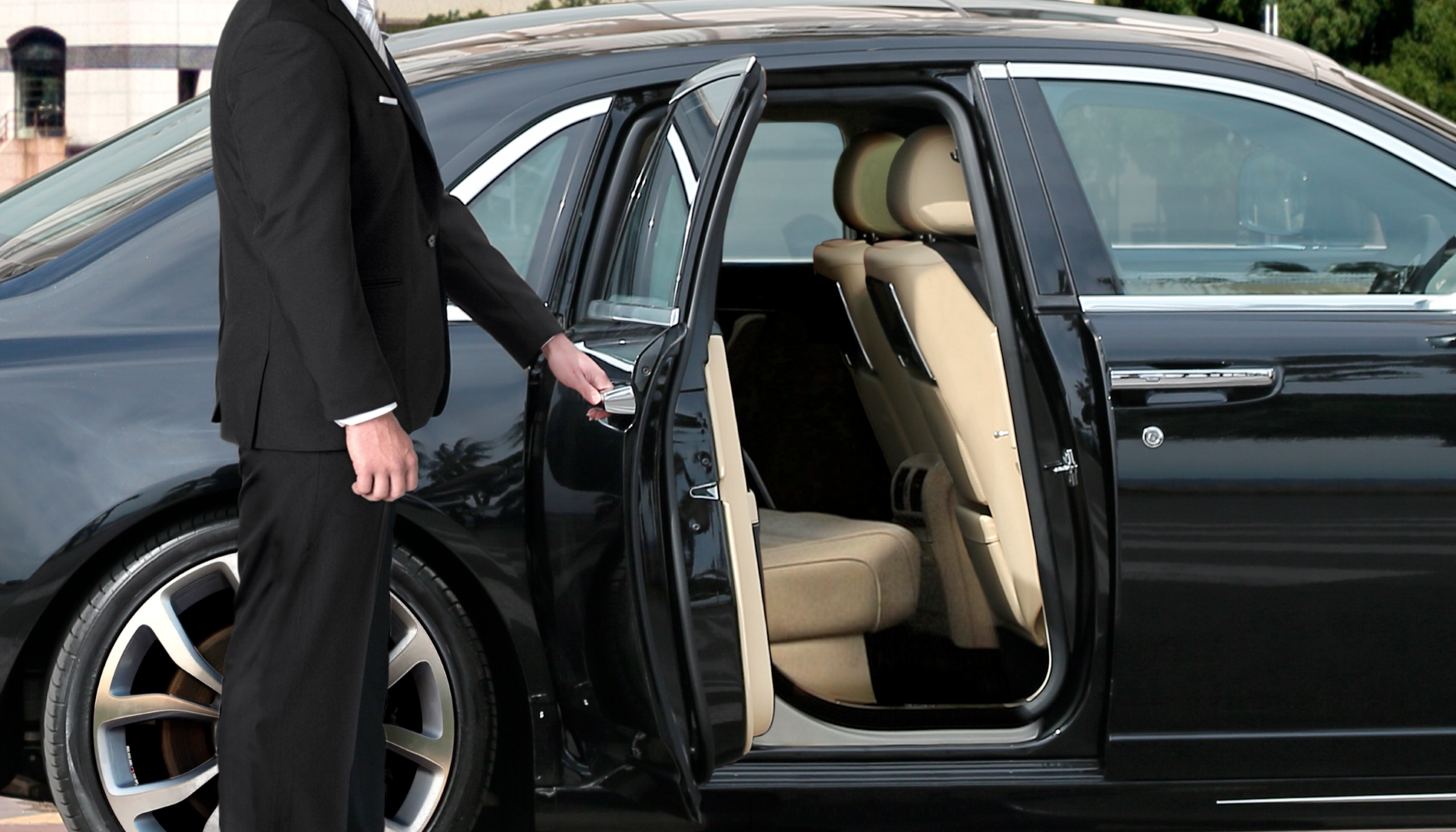 PROFESSIONAL CHAUFFEURS